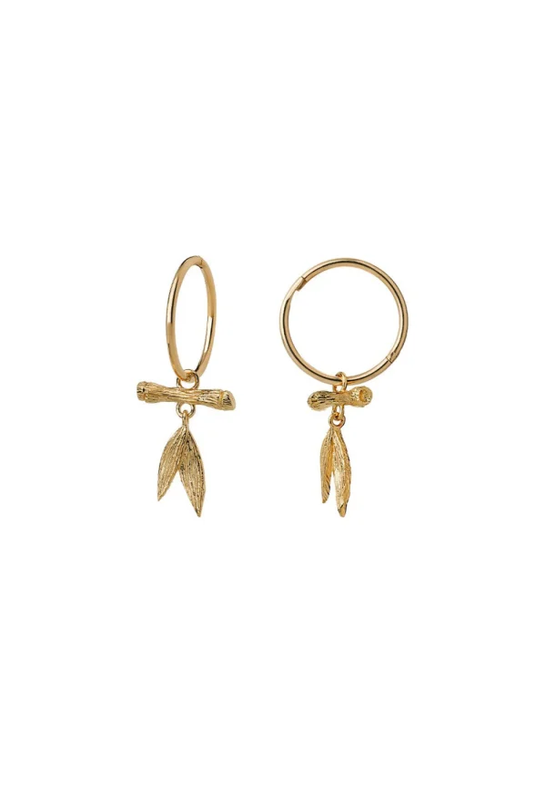 Online Bamboo Sleepers Women Jewellery | Jewellery