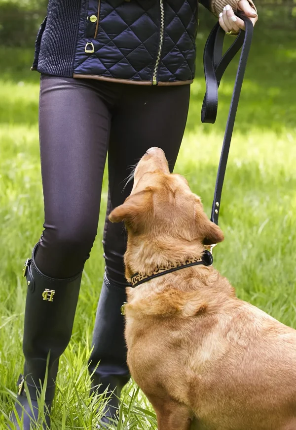 Sale Classic Dog Lead - Black Pets