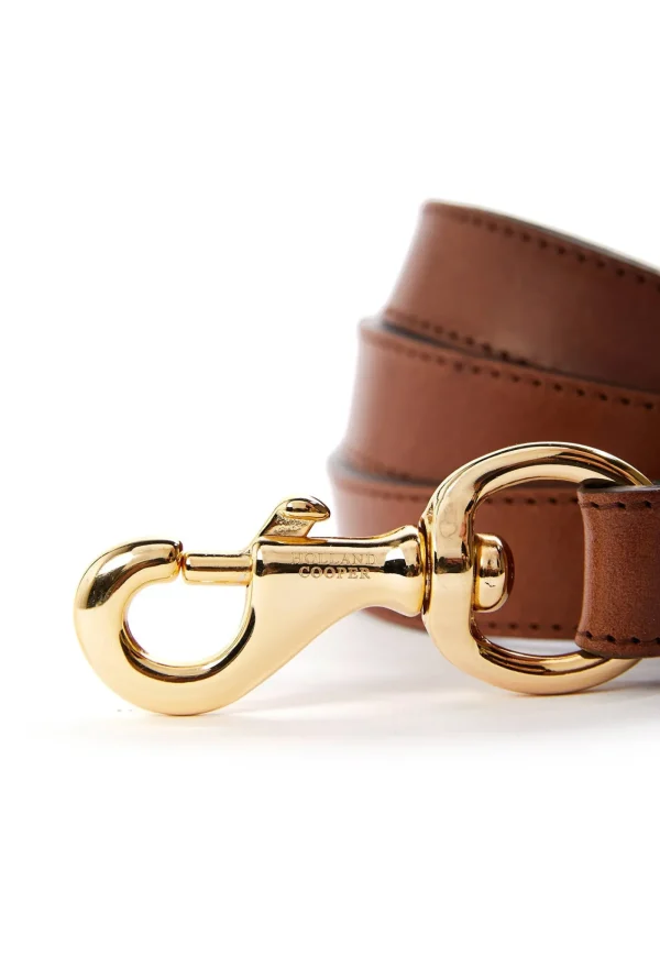 Hot Classic Dog Lead - Chestnut Pets