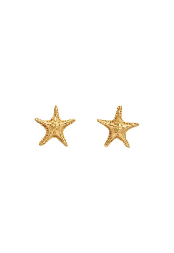 Hot Curio Starfish Studs - Gold Women Jewellery | Jewellery