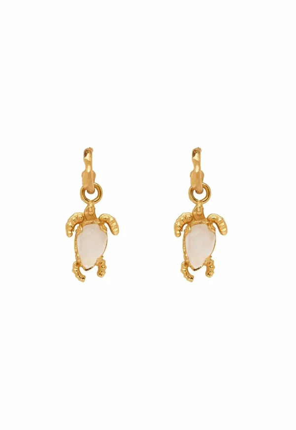 Discount Encanto Turtle Drop Earrings - Gold Women Jewellery | Jewellery