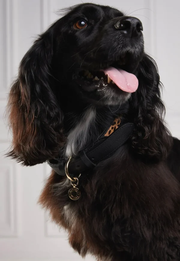 Online HC Classic Dog Collar - Black & Leopard Pony Pets