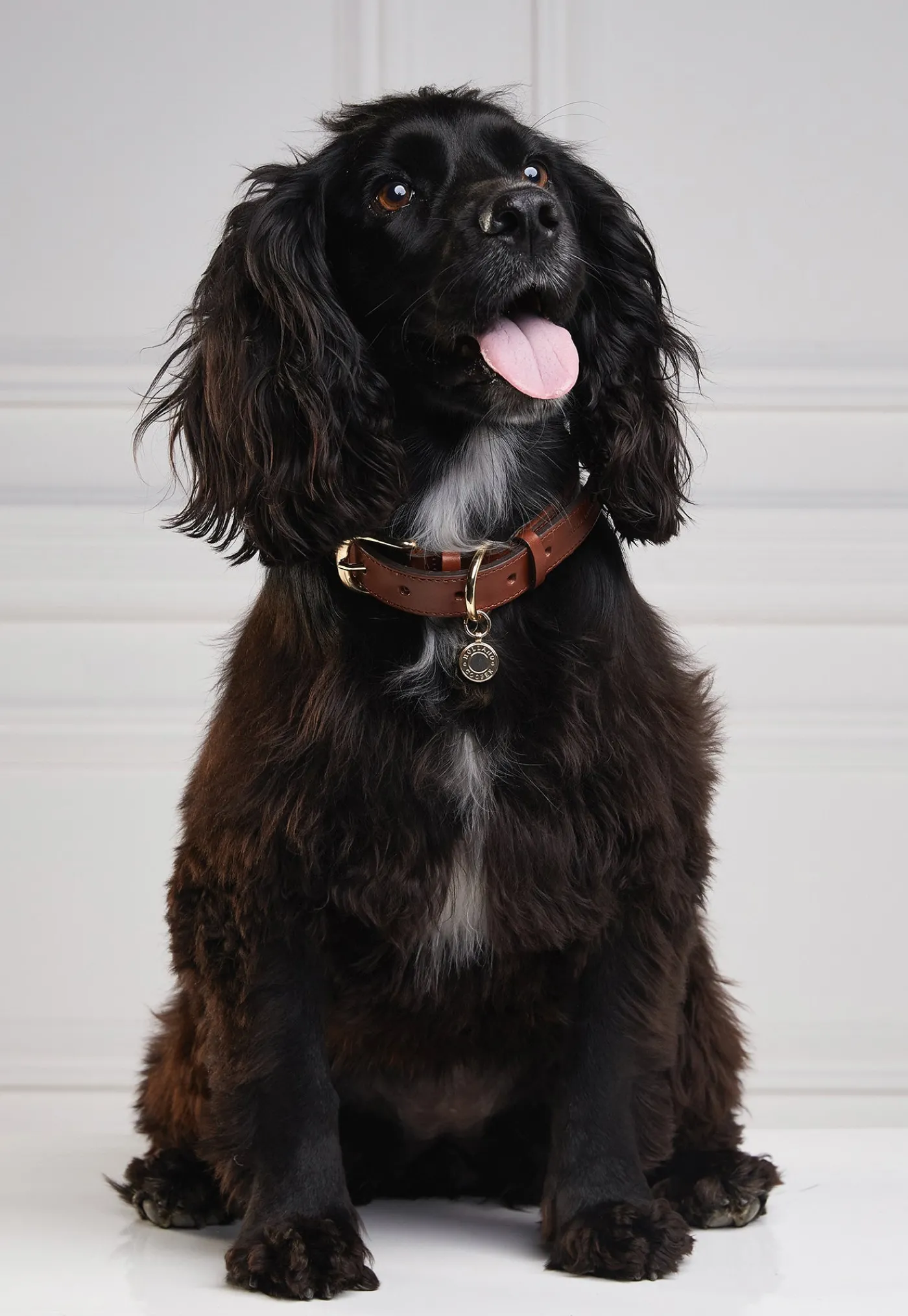hc_classic_dog_collar__ch_2.webp Outlet HC Classic Dog Collar - Chestnut & Tweed Pets