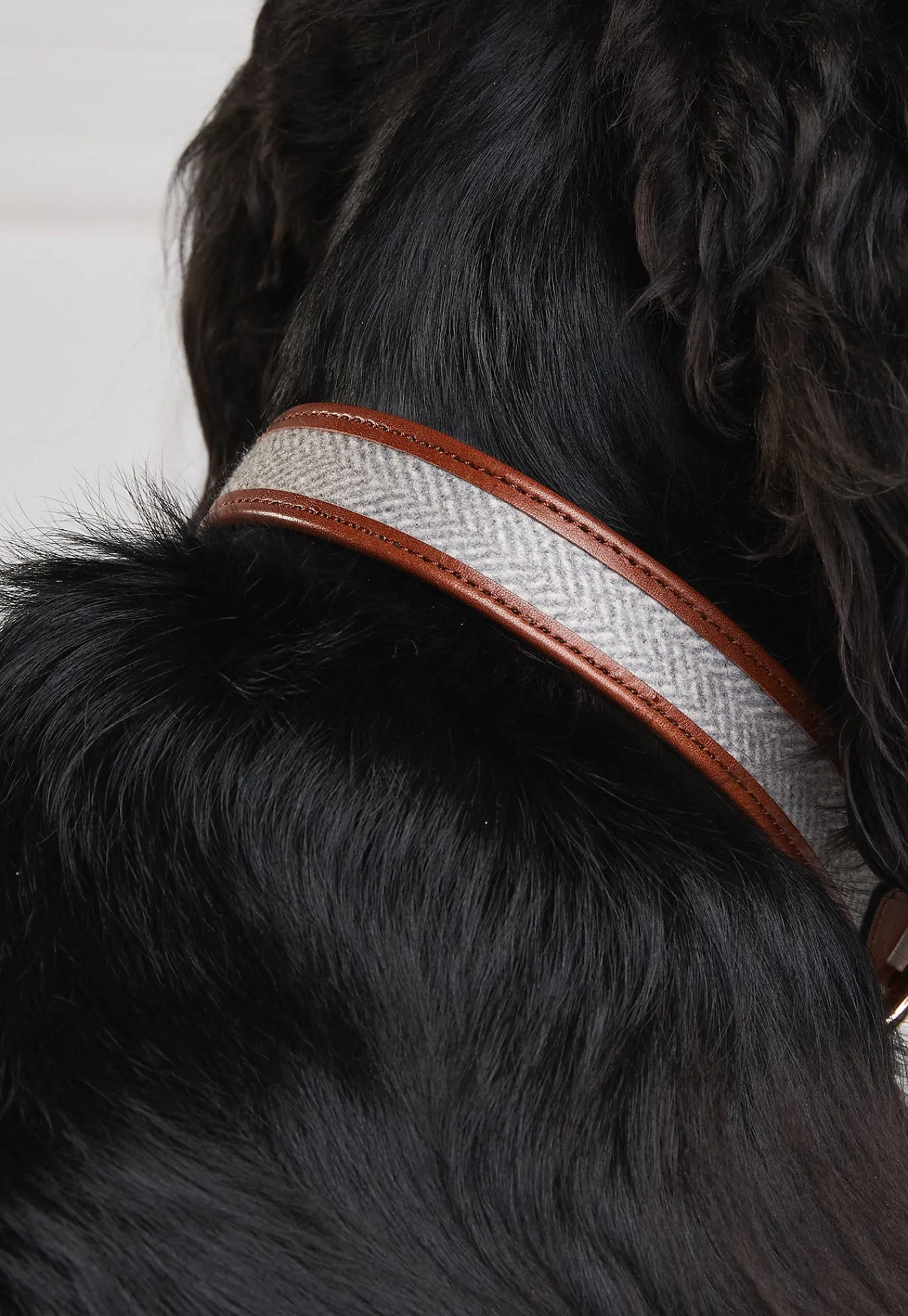 hc_classic_dog_collar__ch_3.webp Outlet HC Classic Dog Collar - Chestnut & Tweed Pets