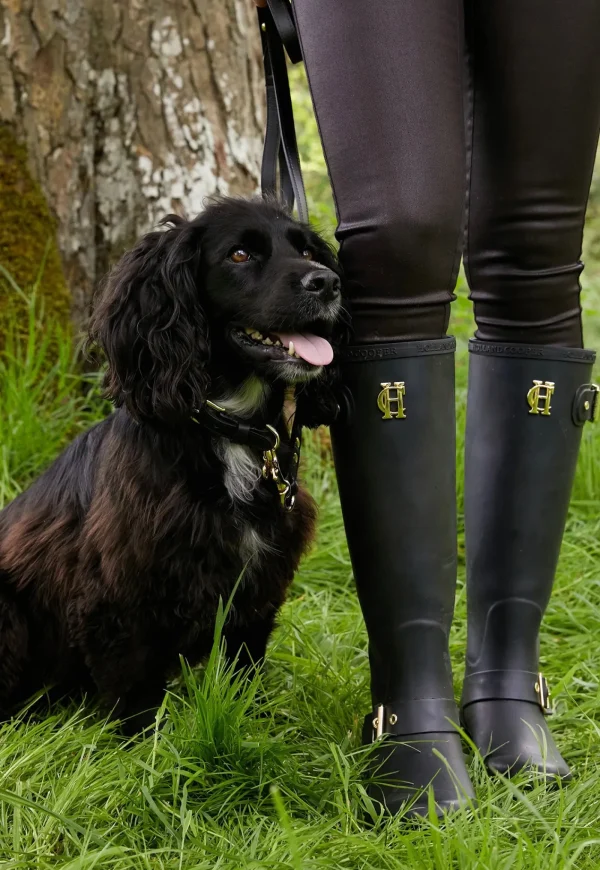 Online HC Studded Dog Collar - Black Pets