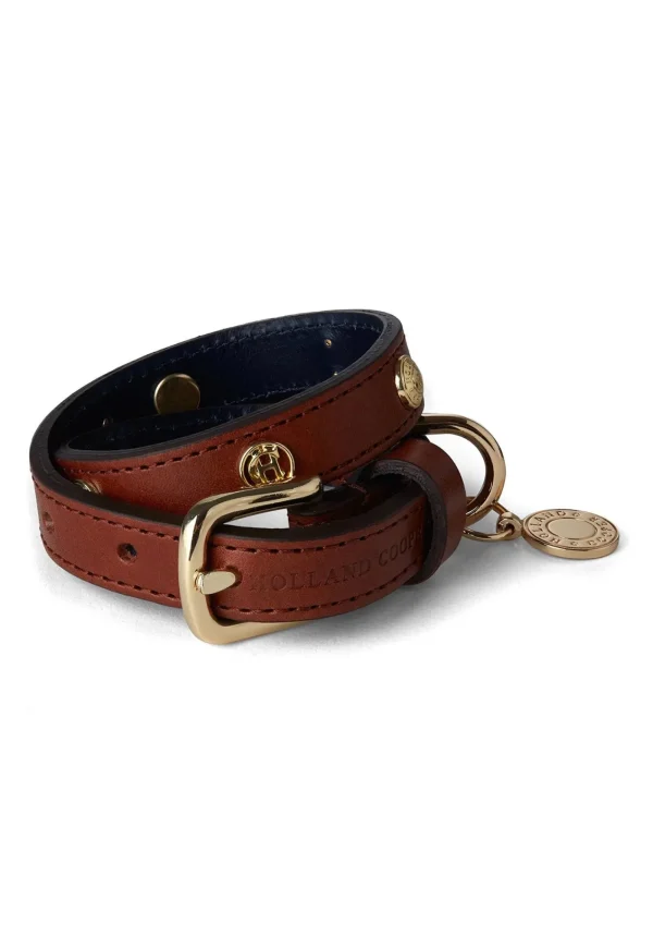 Hot HC Studded Dog Collar - Chestnut Pets