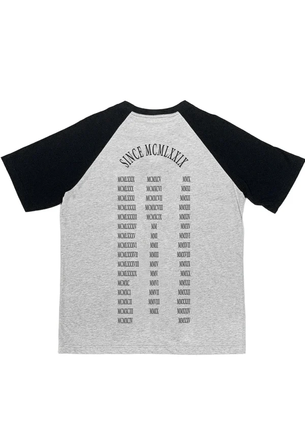 New Raglan T Momentum - Grey Women Tops & Tees