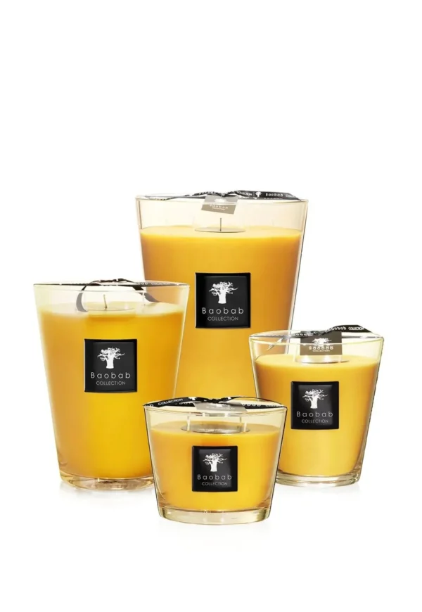 Fashion Zanzibar Spices Luster Scented Candle Candles